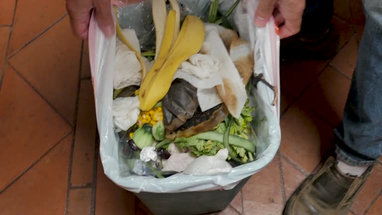 Best Recycling Services for Junk  in Bryant, WA